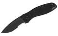 kershaw - Blur - 14C28N/Stone Washed