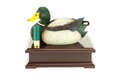 PS DECOY DUCK DIVERSION SAFE - for sale