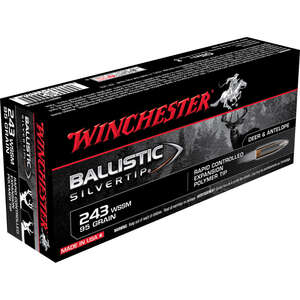 WIN BALLISTIC TIP 243WIN 95GR 20/200 - for sale